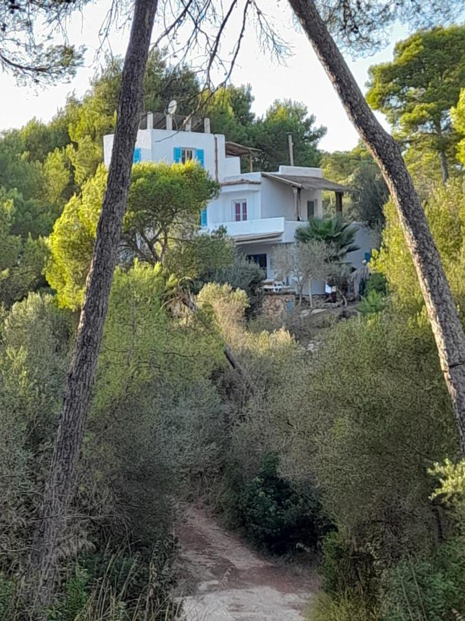 Casa Bamboo Ferienhaus Cala Figuera (Mallorca)